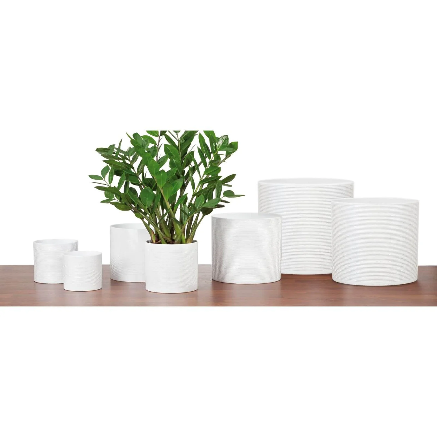White Plant Pot - 16cm White Plant Pot - 16cm -Garden Care Shop 12807862 1674833203512593