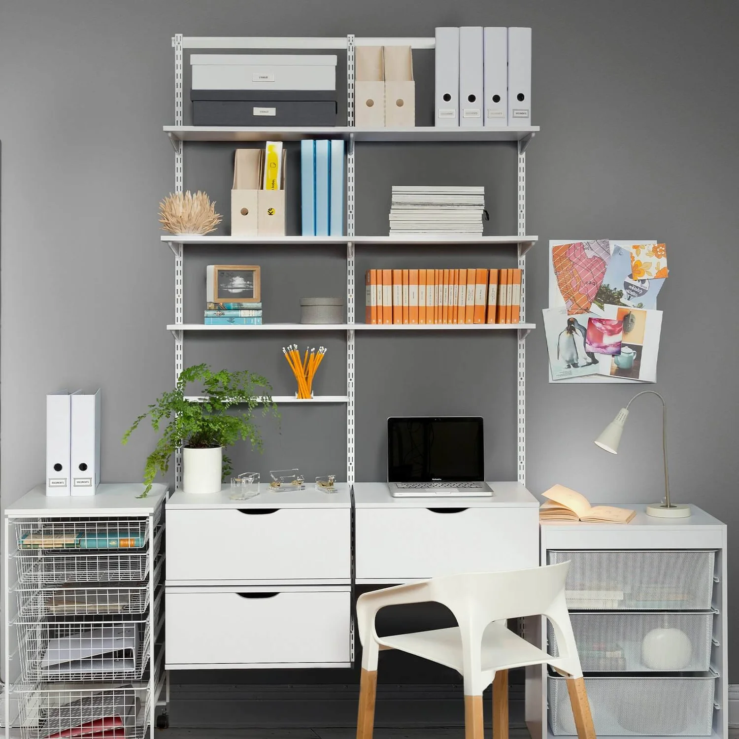 Shelf White 600x16x200mm Shelf White 600x16x200mm -Garden Care Shop 12816026 1104833191902332