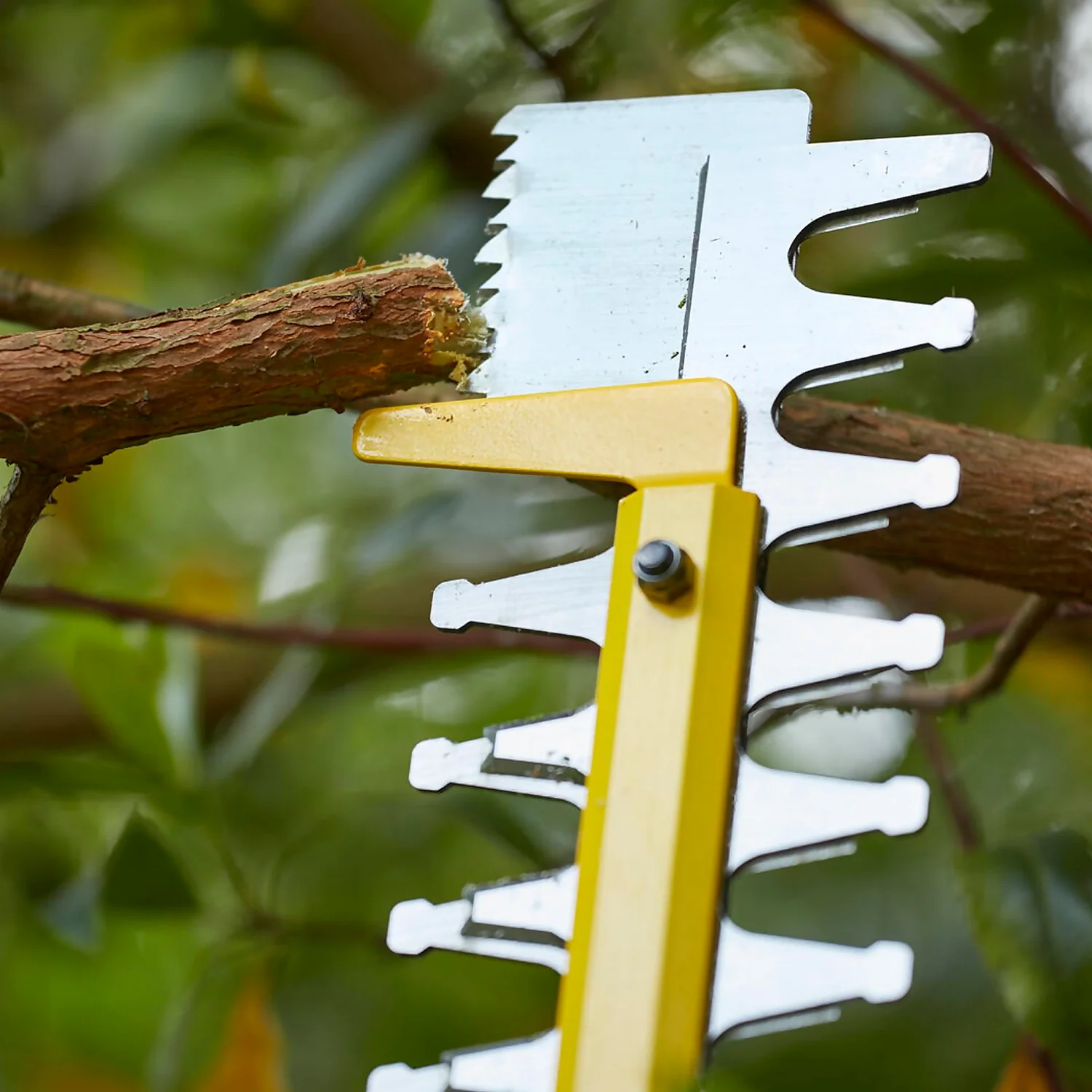 STANLEY FATMAX V20 18V Cordless Hedge Trimmer 55cm (Sfmcht855M1-Gb) STANLEY FATMAX V20 18V Cordless Hedge Trimmer 55cm (Sfmcht855M1-Gb) -Garden Care Shop 12882306 1584843588820784