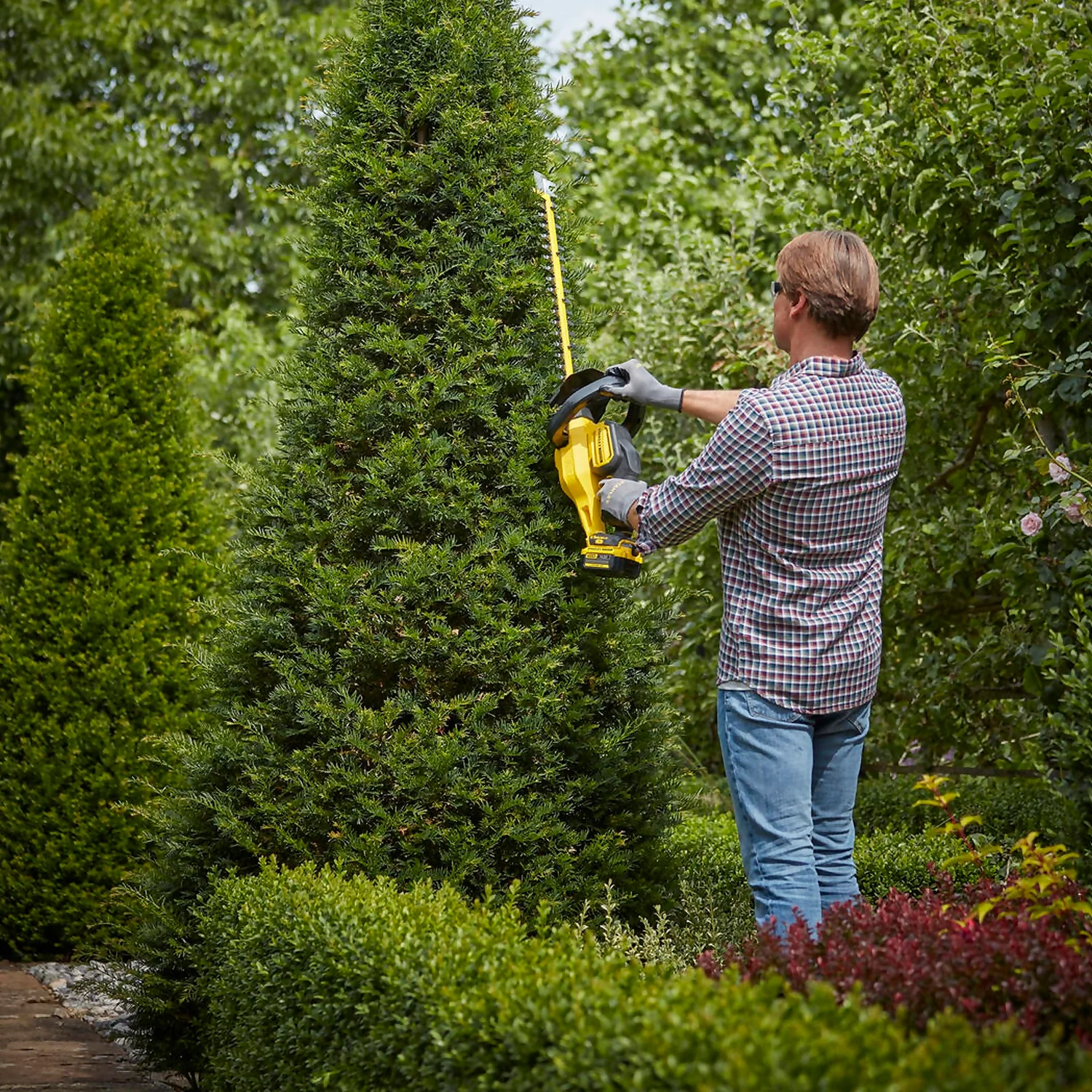 STANLEY FATMAX V20 18V Cordless Hedge Trimmer 55cm (Sfmcht855M1-Gb) STANLEY FATMAX V20 18V Cordless Hedge Trimmer 55cm (Sfmcht855M1-Gb) -Garden Care Shop 12882306 2104843588786086