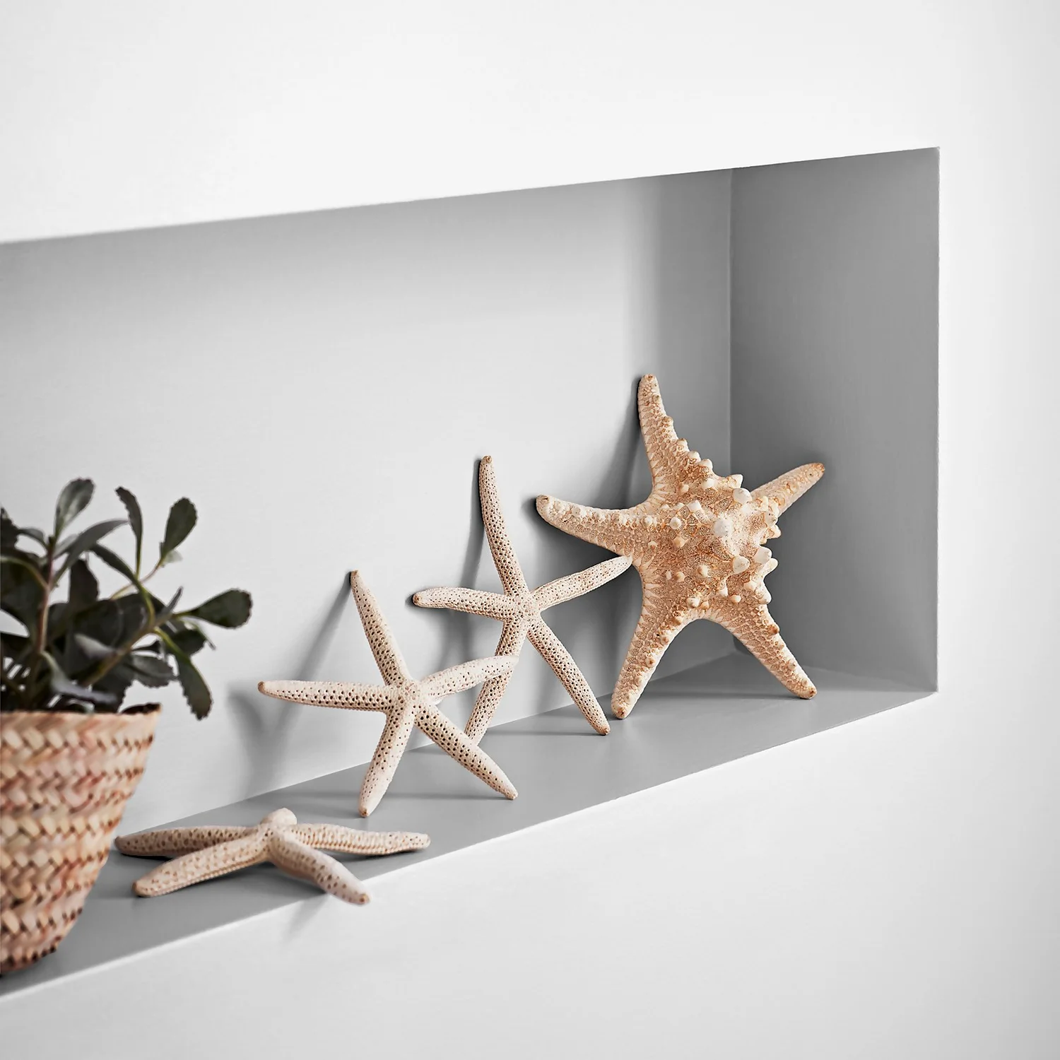 Crown Easyclean Bathroom Paint Brilliant White - 2.5L Crown Easyclean Bathroom Paint Brilliant White - 2.5L -Garden Care Shop 12886758 4004853415609543