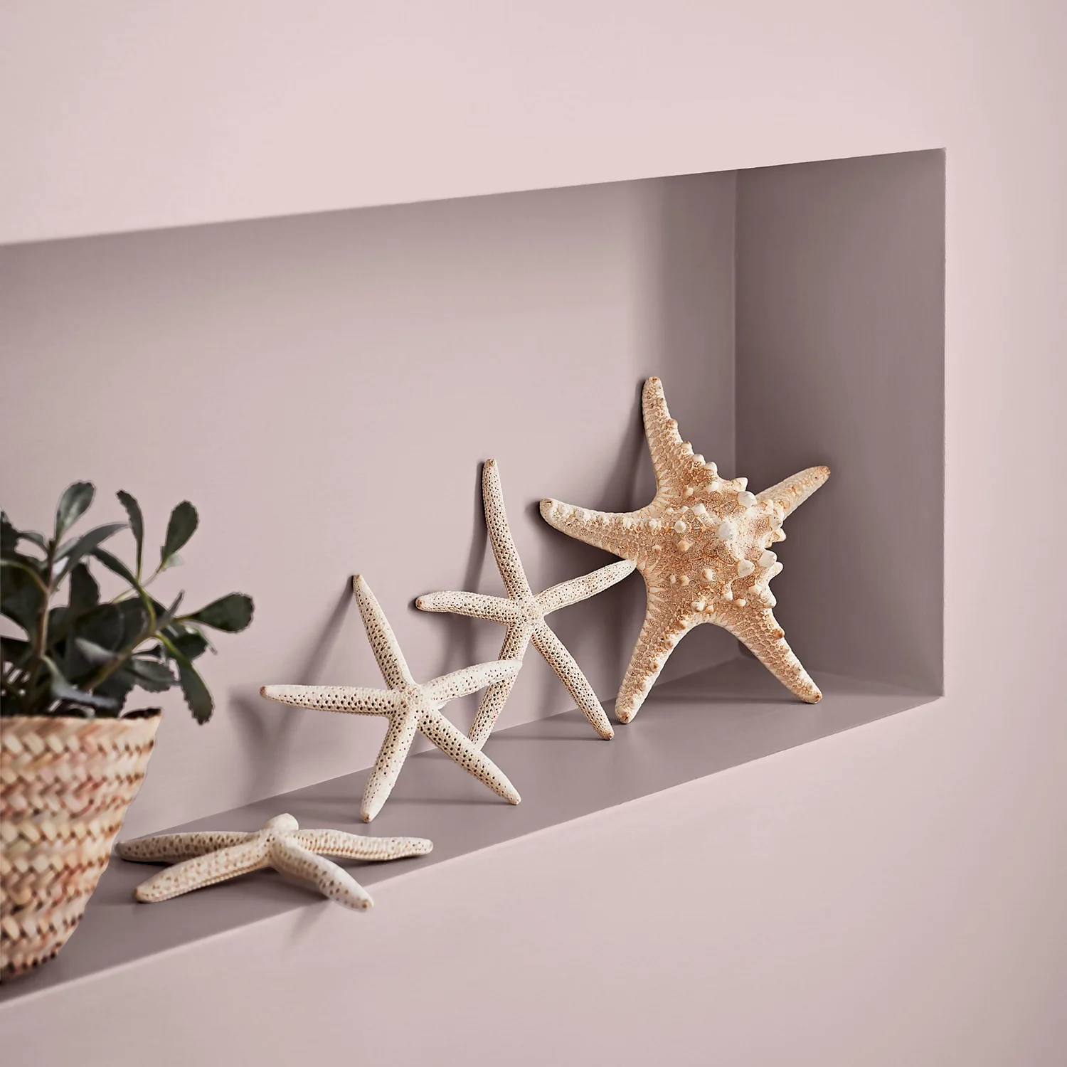 Crown Easyclean® Mouldguard+ Bathroom Mid Sheen Washable Multi Surface Paint Pashmina® - 2.5L Crown Easyclean® Mouldguard+ Bathroom Mid Sheen Washable Multi Surface Paint Pashmina® - 2.5L -Garden Care Shop 12886768 1884853415743973