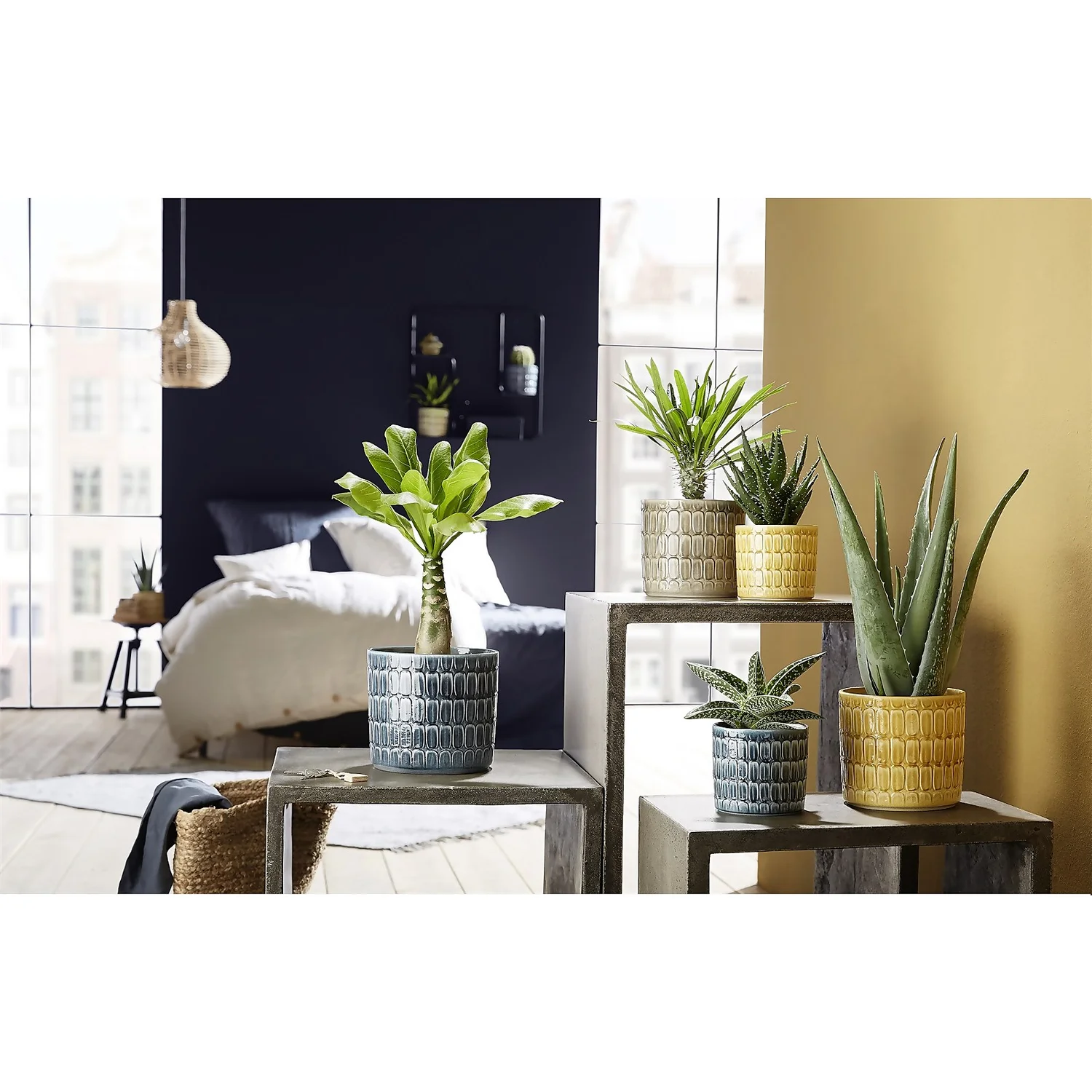 Elna 19cm Ceramic Pot - 19cm Elna 19cm Ceramic Pot - 19cm -Garden Care Shop 12888976 1364843776004950