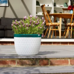 Garden Care Shop -Garden Care Shop 13188804 2114943630148507