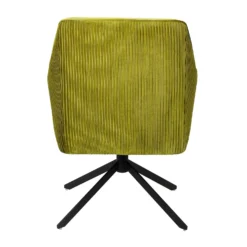 Pia Pleat Swivel Chair - Olive 3 Pia Pleat Swivel Chair - Olive -Garden Care Shop 13222763 1234940701625556
