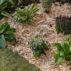 Westland Rustic Wood Chips - 60L -Garden Care Shop 13280769 1564929084866478