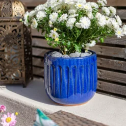 Garden Care Shop -Garden Care Shop 13973638 3145011238764101