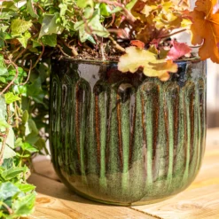 Chiswick Running Pot Green - 24cm -Garden Care Shop 13973645 1285011238620542