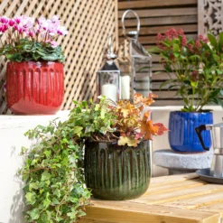 Chiswick Running Pot Green - 24cm -Garden Care Shop 13973645 8125011238664162