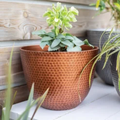 Suva Hammered Pot Copper - 31cm -Garden Care Shop 13973652 1715011805989134