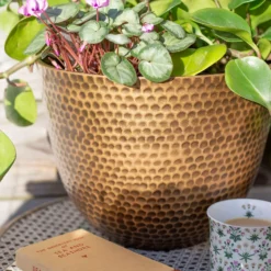 Suva Hammered Pot Bronze - 38cm -Garden Care Shop 13973655 9525011805626407