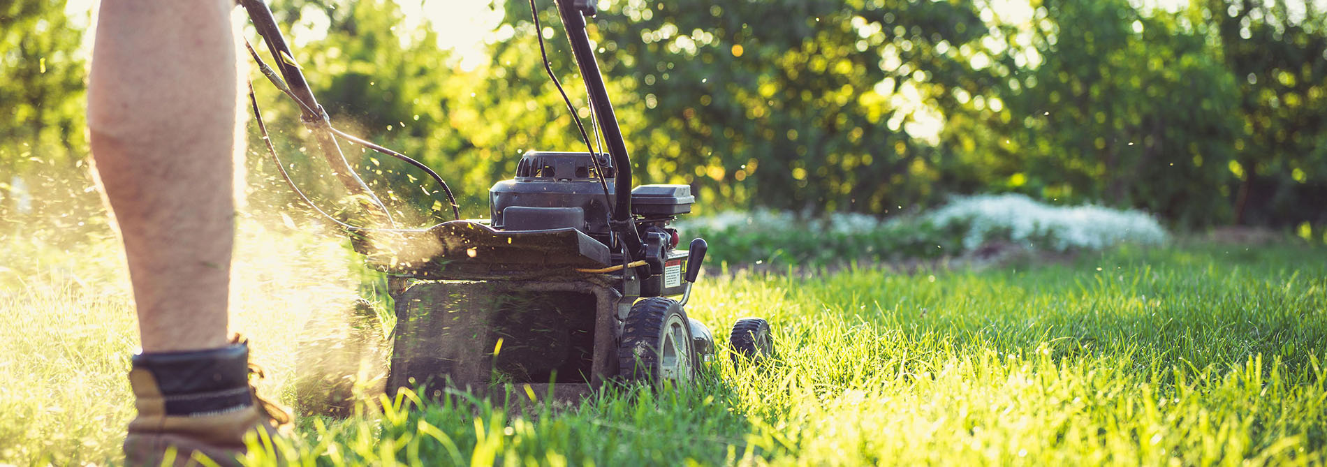 Garden Care Shop 1 Garden Care Shop -Garden Care Shop ghll